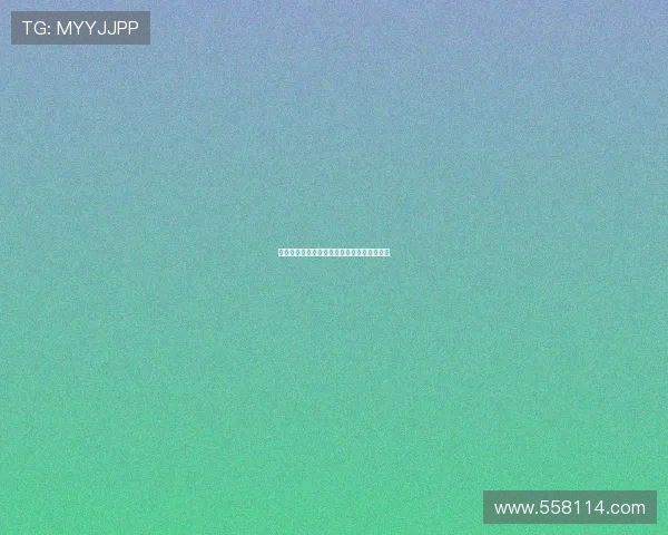 柏林联盟崛起之路：德甲新力量的成长与挑战